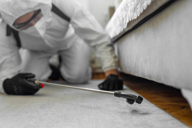 Professional Bed Bug Control technician working in Mazon, IL
